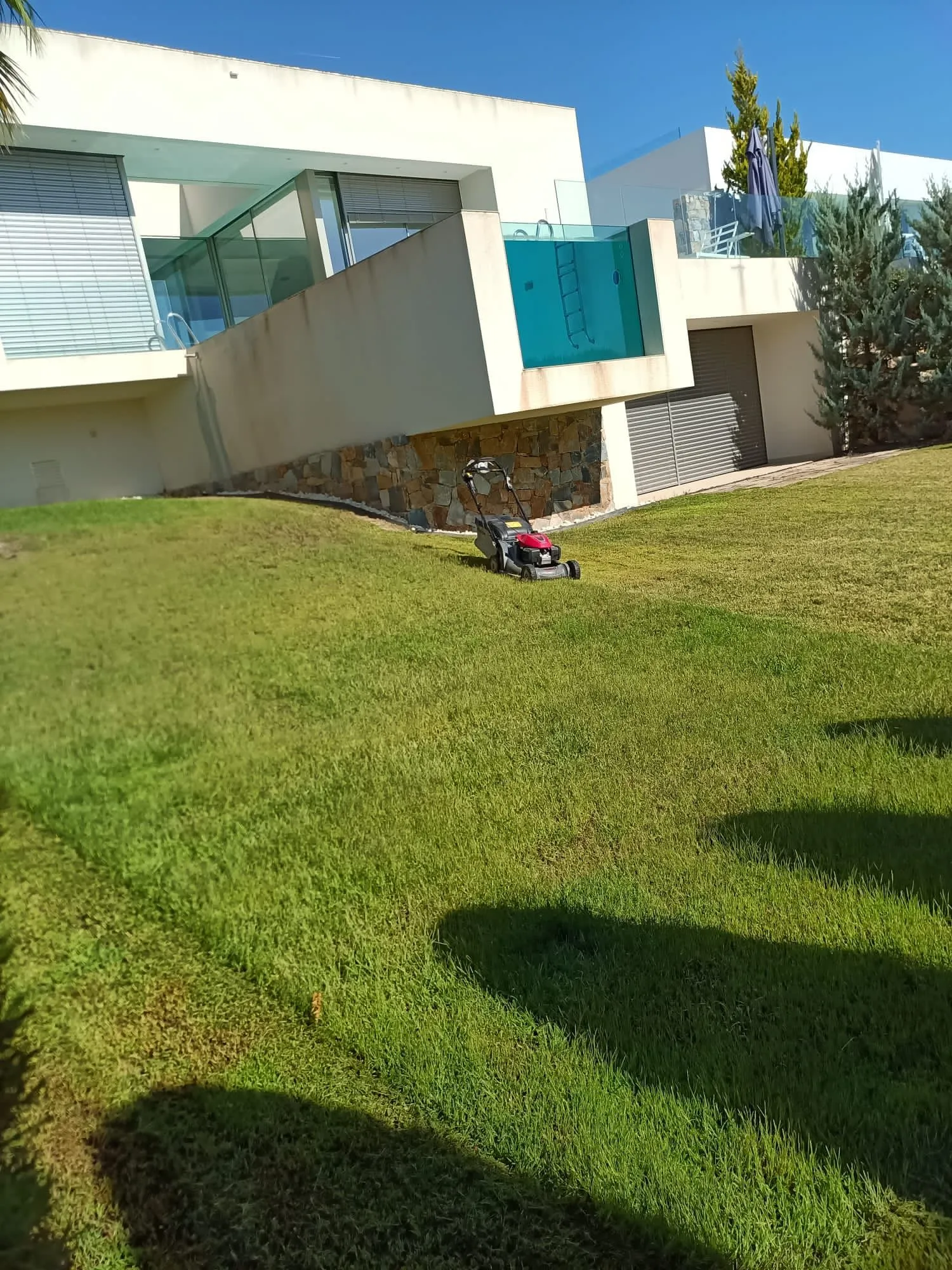 Mantenimiento de jardín en villa en Orihuela Costa